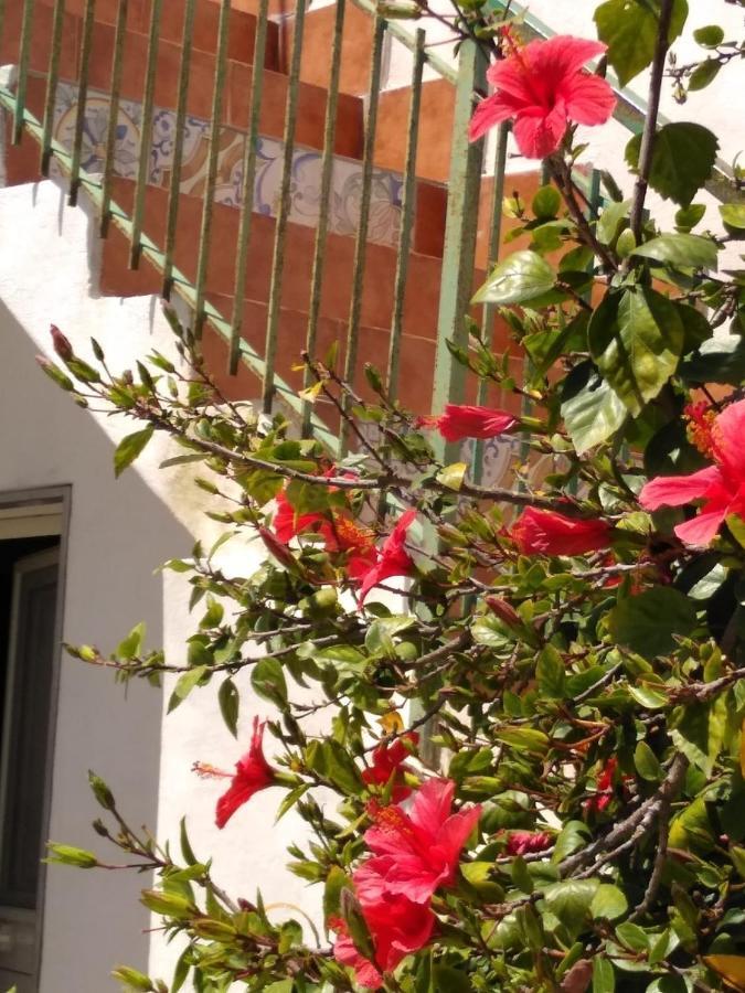Willa Casale Hibiscus Santa Maria Del Focallo Zewnętrze zdjęcie